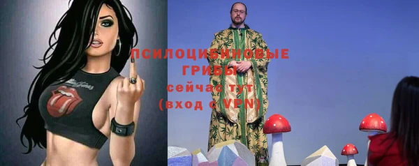амф Белокуриха