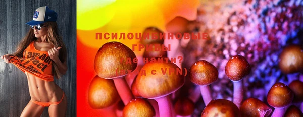 амф Белокуриха